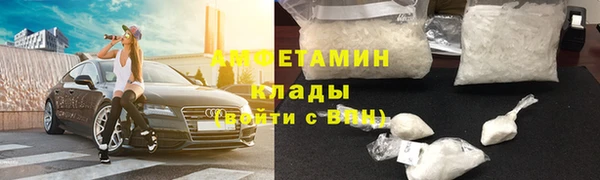 дмт Алзамай