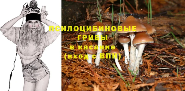 дмт Алзамай