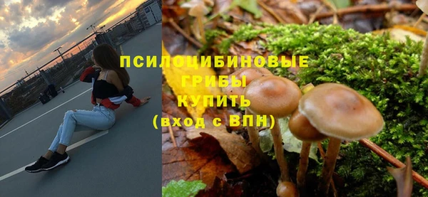 синтетический гашиш Алексин