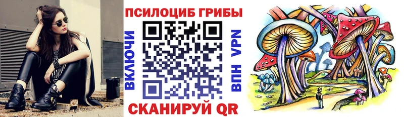 Галлюциногенные грибы Psilocybe  Владивосток 