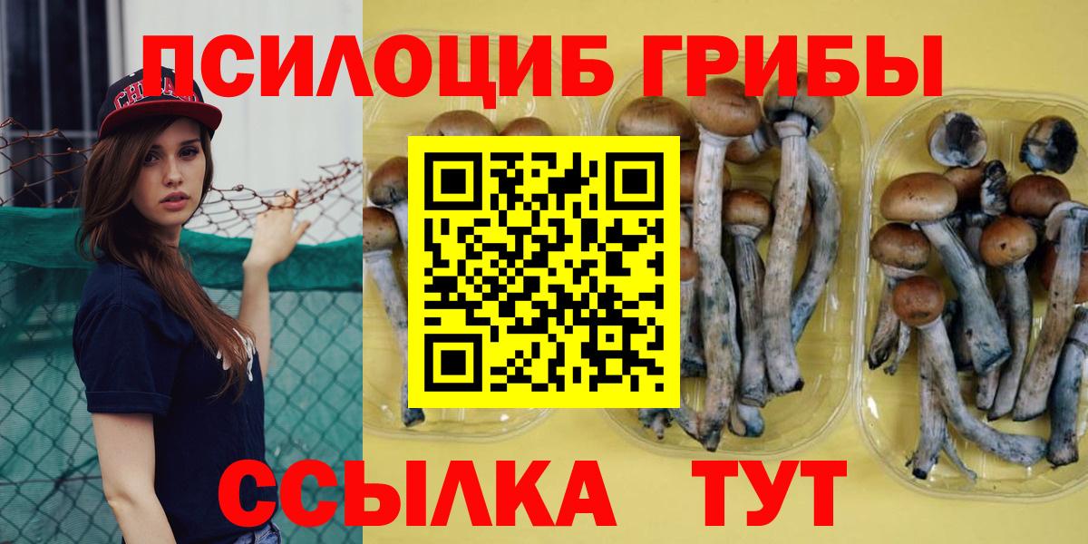 Галлюциногенные грибы Magic Shrooms  Псилоцибиновые грибы GOLDEN TEACHER  Вход с VPN  Владивосток 